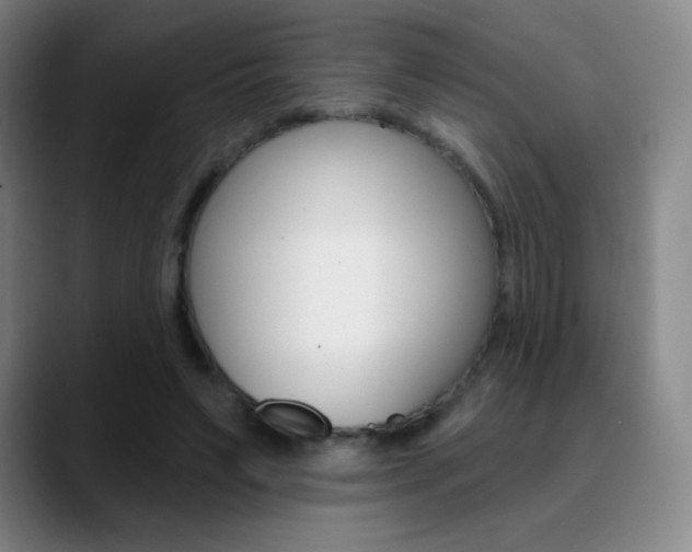 X0000090750495200707201034