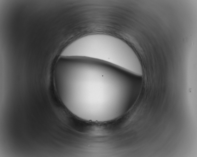X0000090750496200707201034