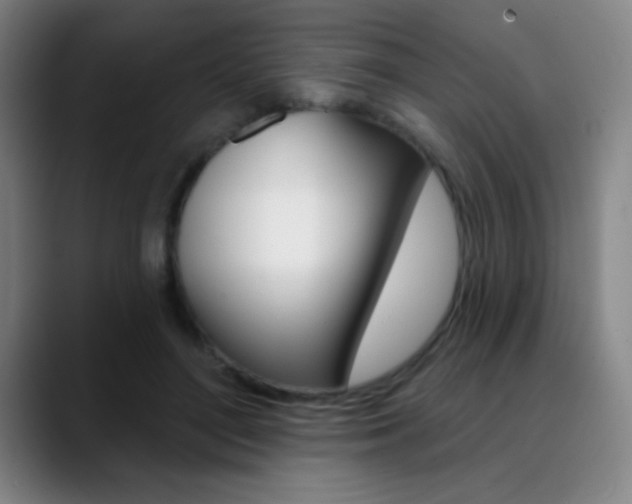 X0000090750500200707201034