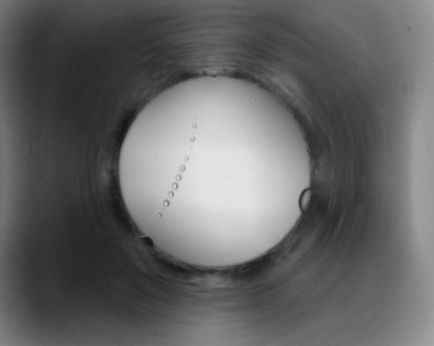 X0000090750503200707201034