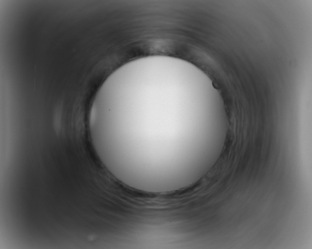 X0000090750506200707201034