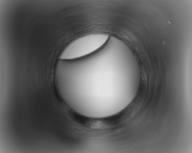 X0000090750507200707201034