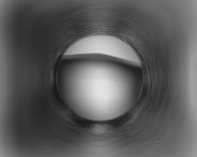 X0000090750508200707201034