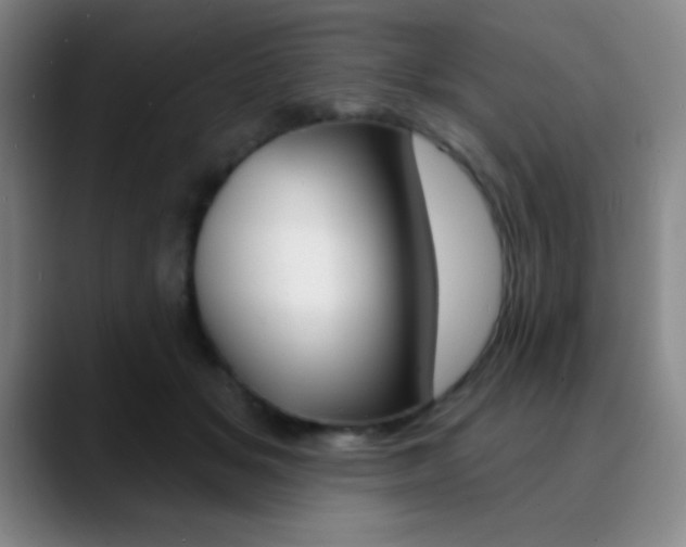 X0000090750509200707201034