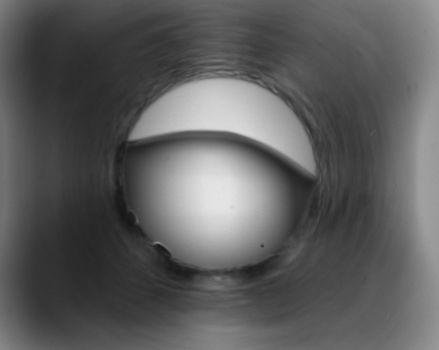 X0000090750512200707201034