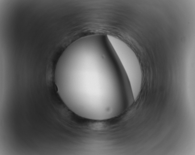 X0000090750513200707201034