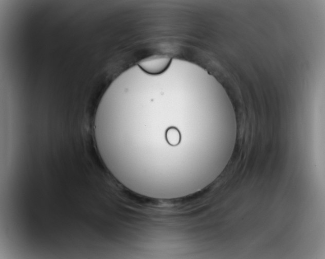 X0000090750518200707201033