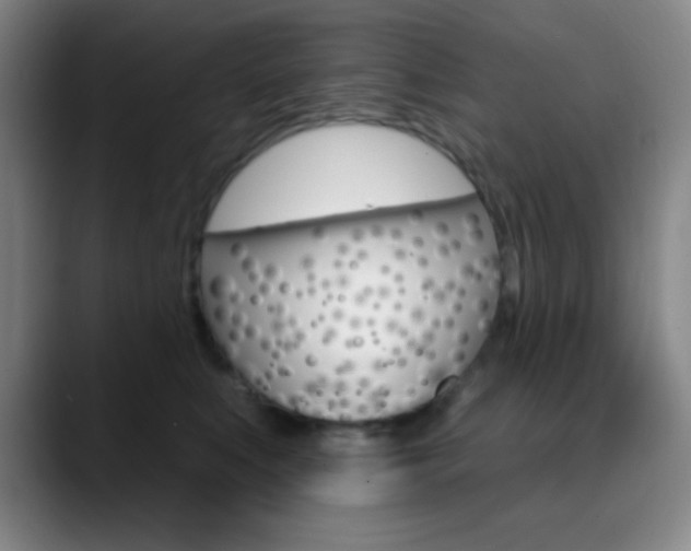 X0000090750519200707201033