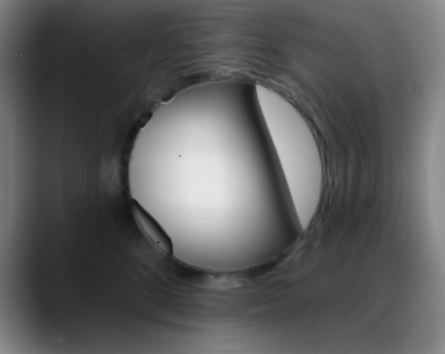 X0000090750520200707201033