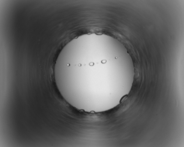 X0000090750523200707201033