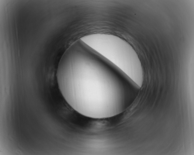 X0000090750525200707201033