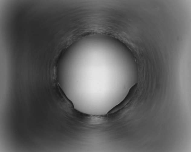X0000090750528200707201033