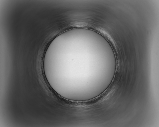 X0000090750529200707201033