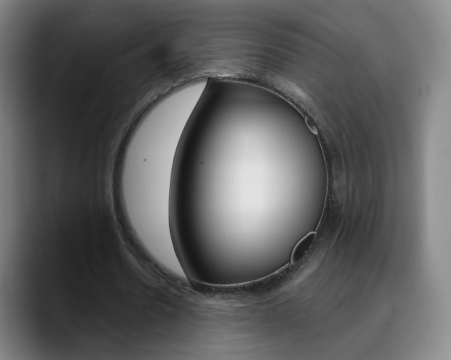 X0000090750530200707201033