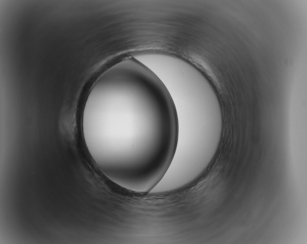 X0000090750532200707201033