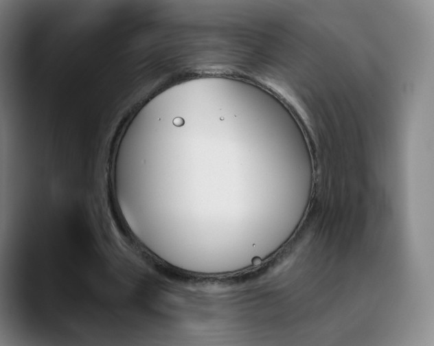 X0000090750533200707201033