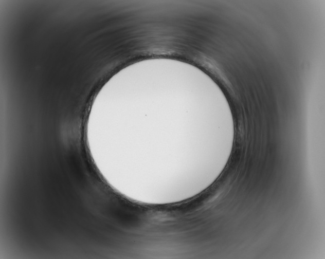 X0000090750534200707201033