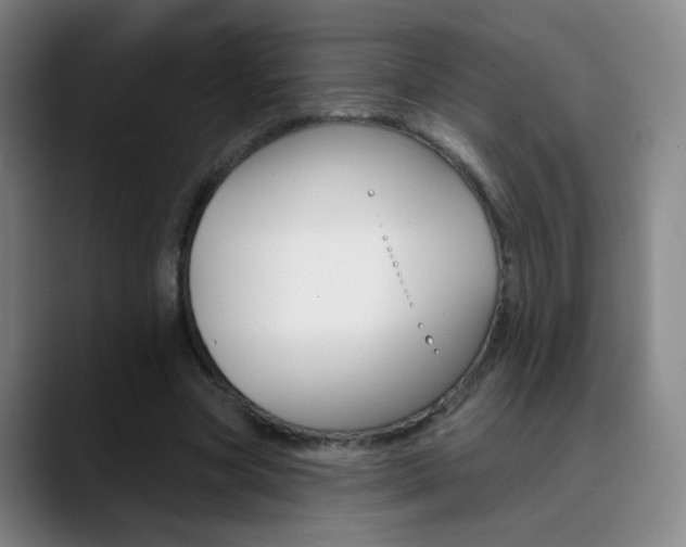 X0000090750537200707201033