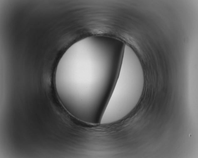 X0000090750539200707201033