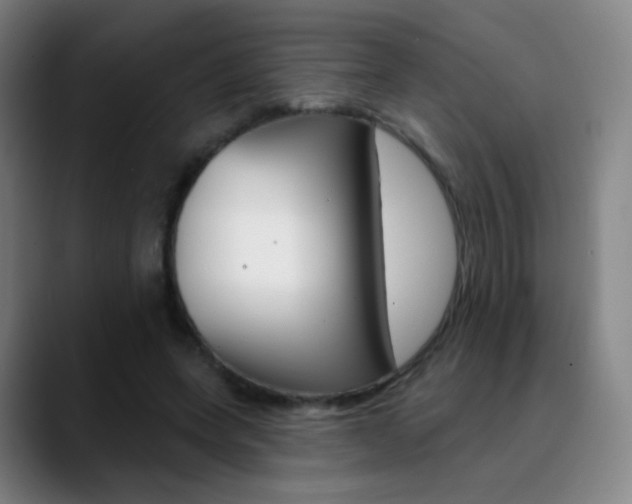 X0000090750543200707201033