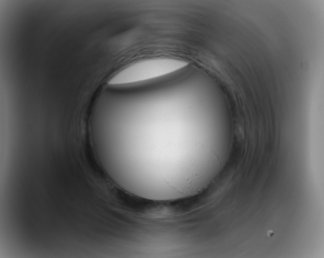 X0000090750551200707201033