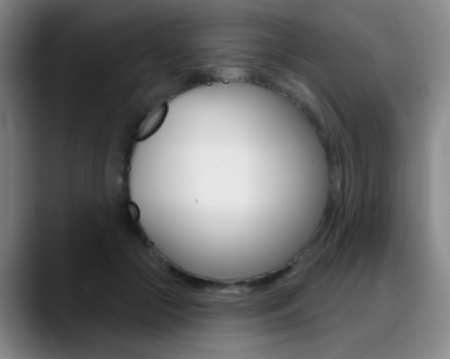 X0000090750553200707201033