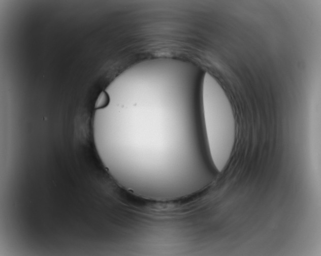 X0000090750554200707201033