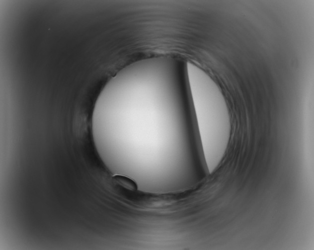 X0000090750555200707201033