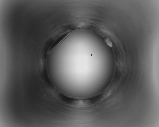 X0000090750558200707201033