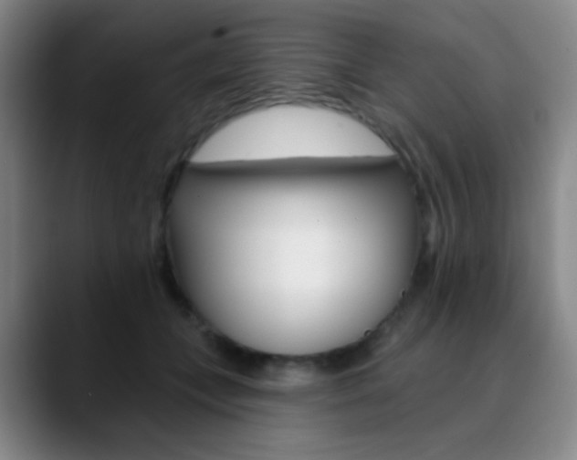 X0000090750559200707201033