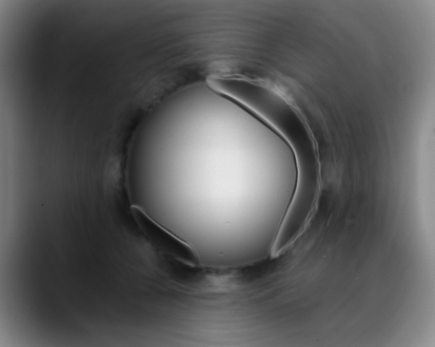 X0000090750560200707201033