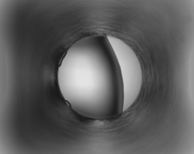 X0000090750566200707201033