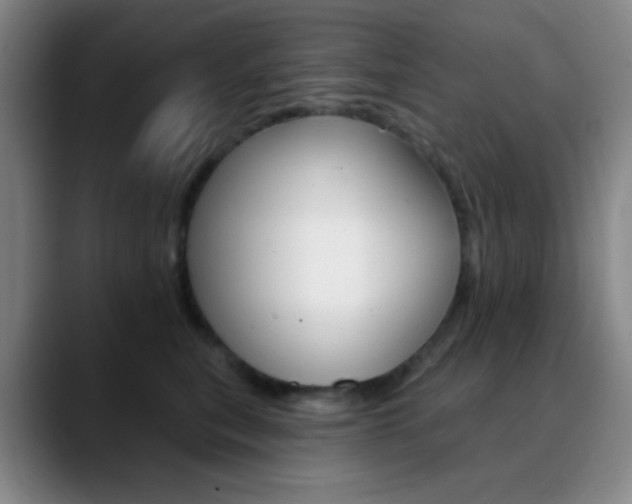 X0000090750567200707201033
