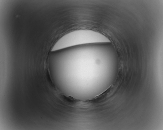 X0000090750568200707201033