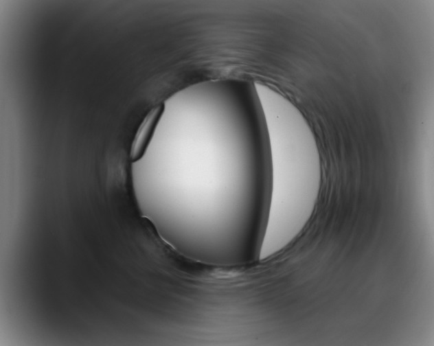 X0000090750570200707201033
