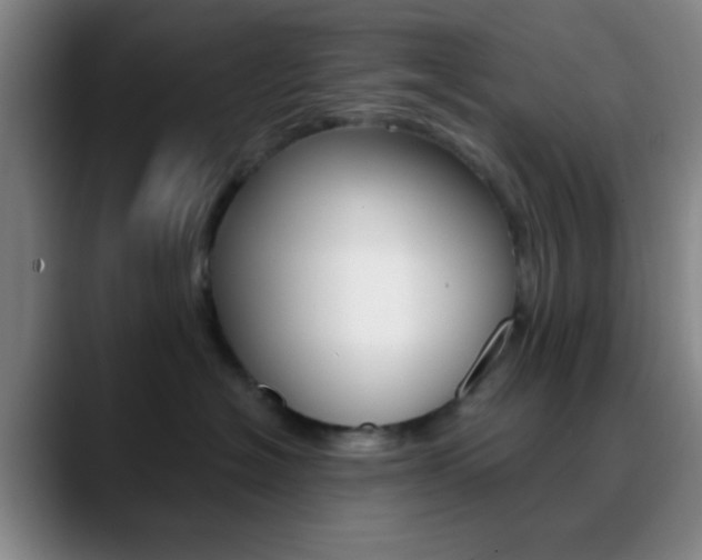 X0000090750574200707201033
