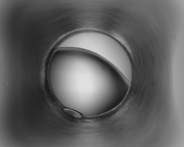 X0000090750580200707201033