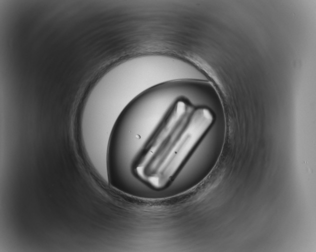 X0000090750581200707201033