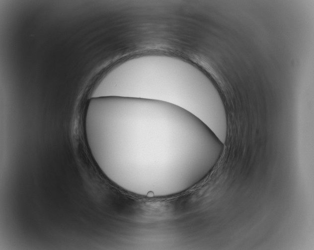 X0000090750583200707201033