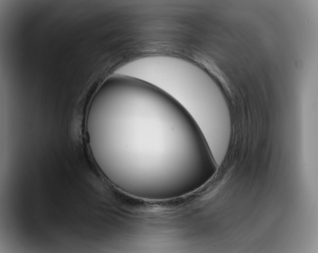 X0000090750585200707201033