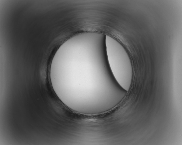 X0000090750586200707201033