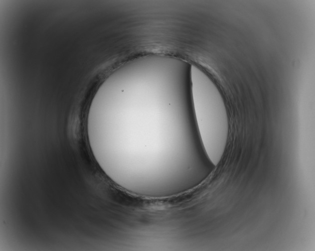 X0000090750587200707201033