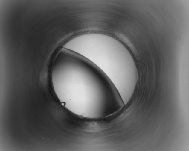 X0000090750588200707201033