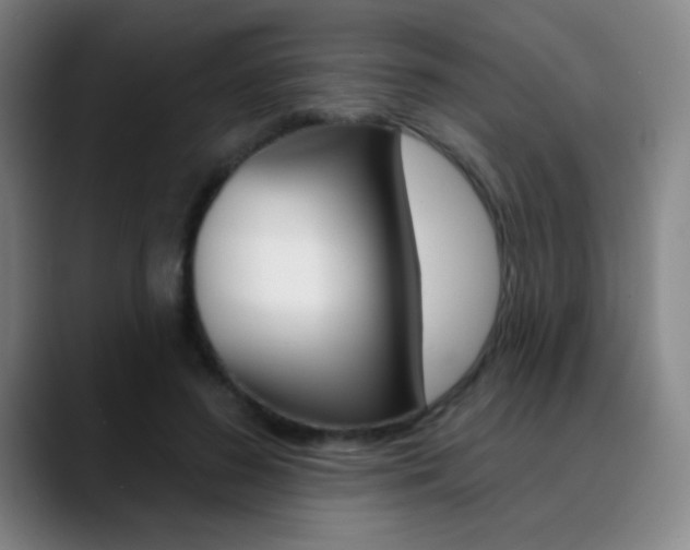 X0000090750596200707201033