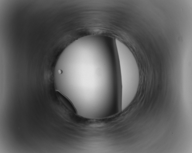 X0000090750601200707201033
