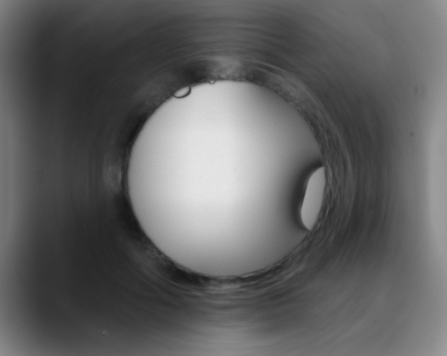 X0000090750602200707201033