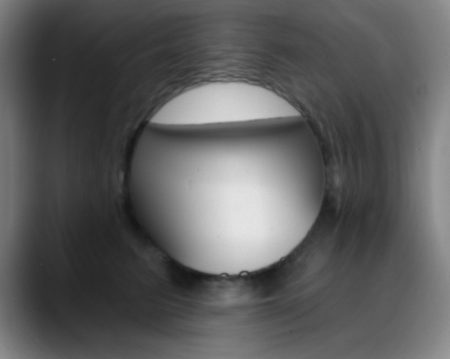 X0000090750615200707201032