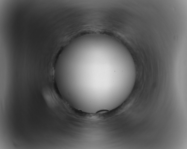 X0000090750624200707201032
