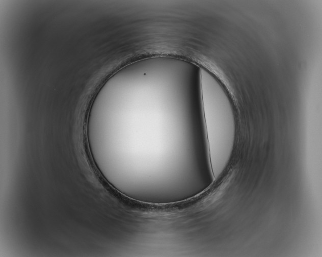 X0000090750625200707201032
