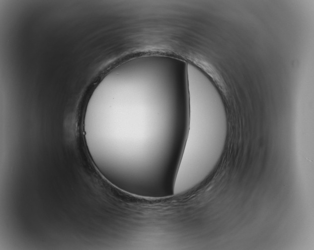 X0000090750628200707201032